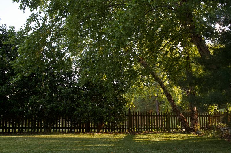 Madison’s New Zoning Laws Make It Easier to Build ADUs—Here’s What It Means for You