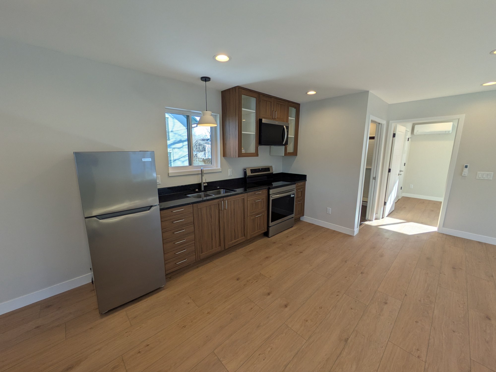 Finished ADU above garage near Henry Vilas Zoo, Madison WI — open plan living and kitchen