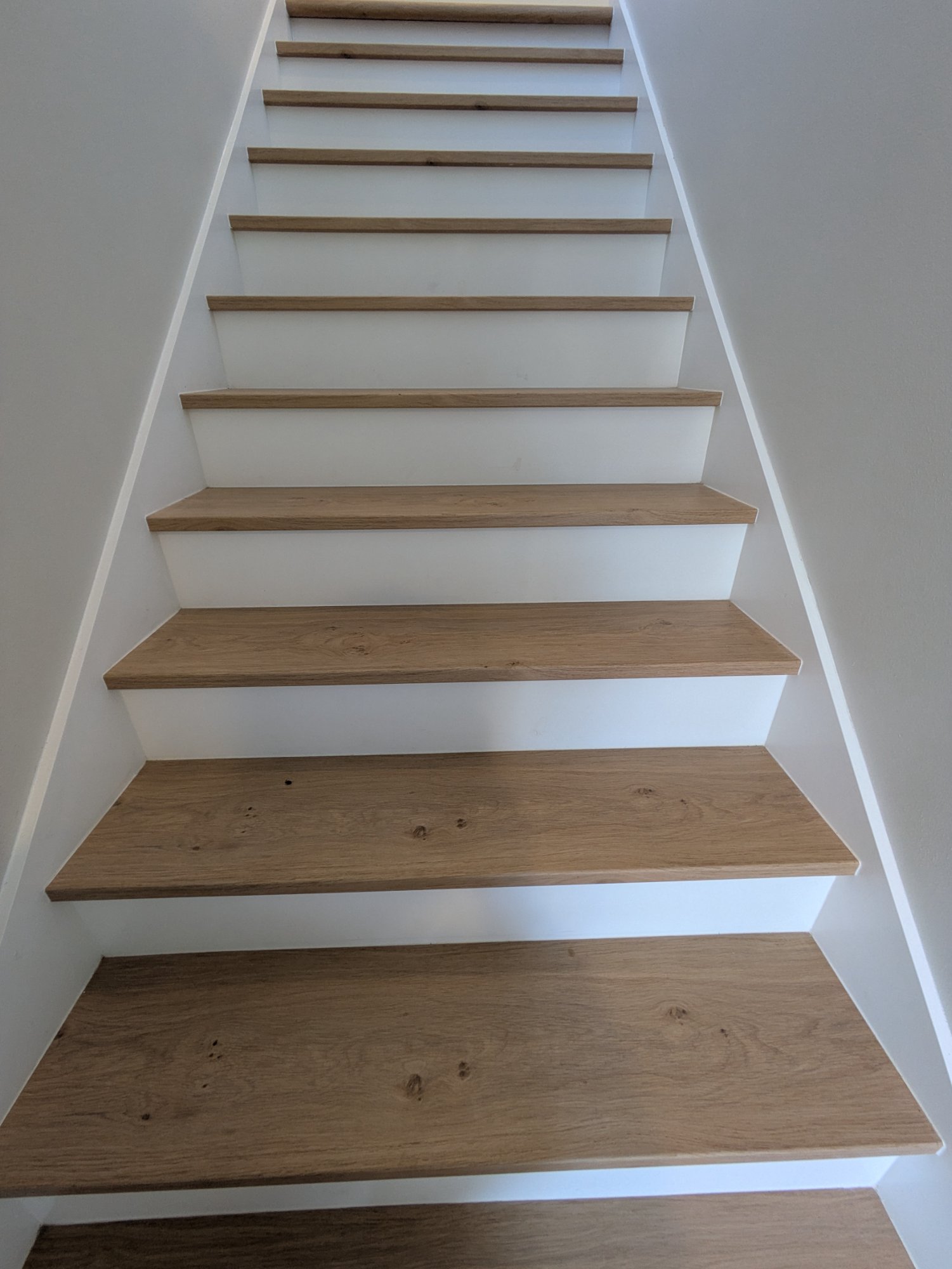 Close-up of finished wood stair treads with white risers — ADU interior detail